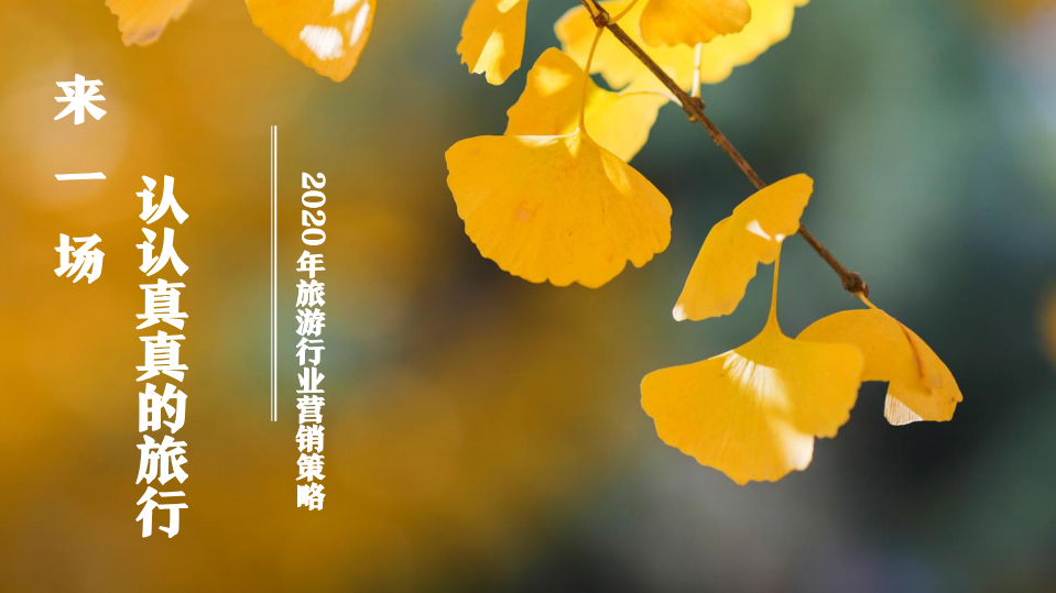 2020旅游行業營銷策略