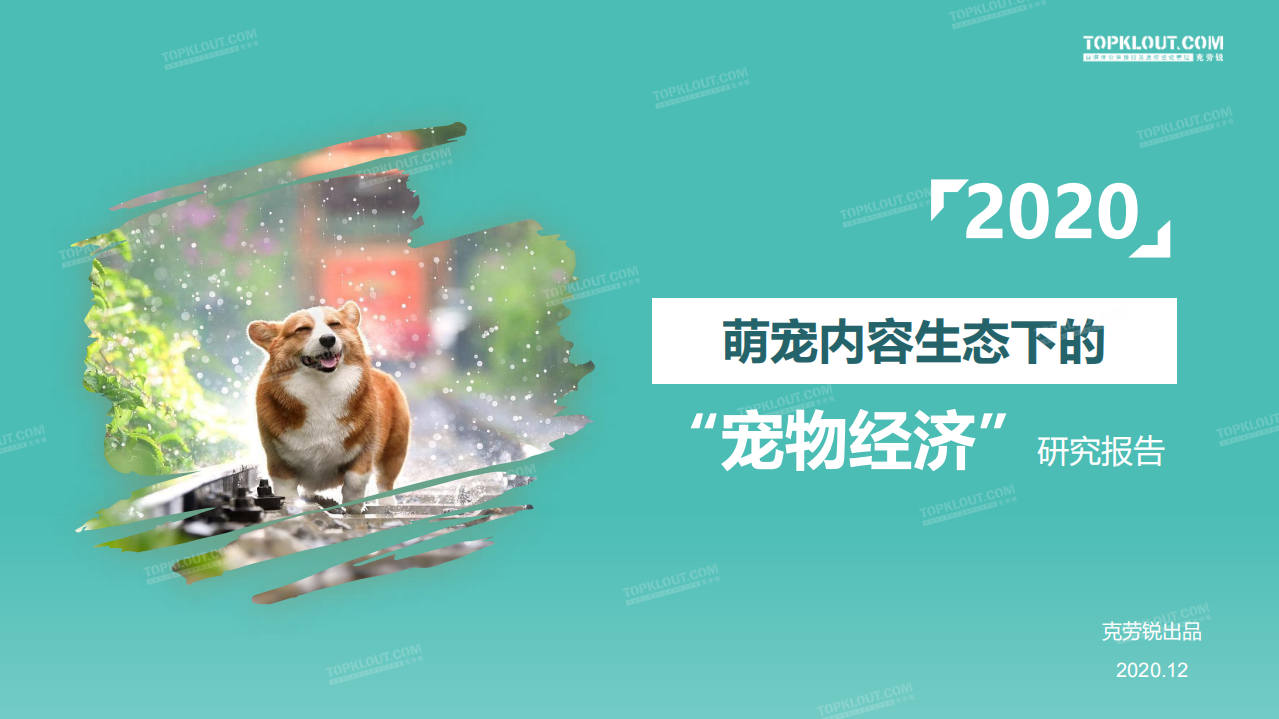 2020萌寵內(nèi)容生態(tài)下的寵物經(jīng)濟(jì)-克勞銳-202012