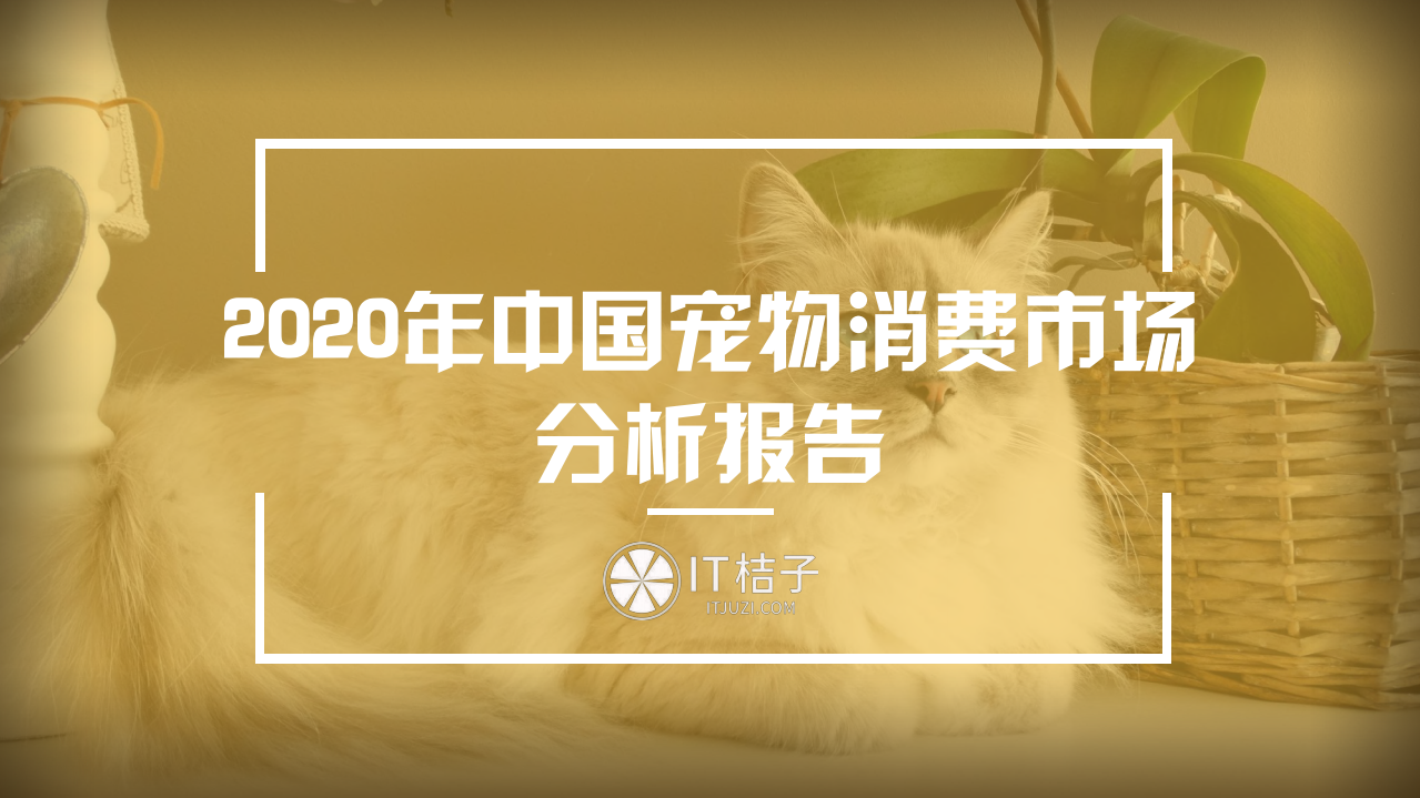 2020年中國(guó)寵物消費(fèi)市場(chǎng)分析報(bào)告