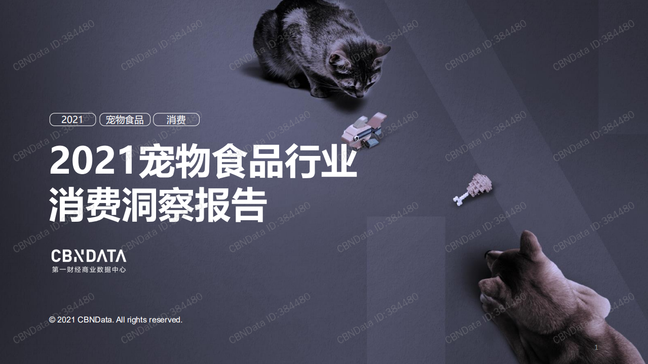 2021寵物食品行業(yè)消費(fèi)洞察報(bào)告45頁(yè)