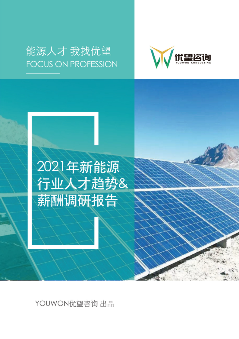 2021年新能源行業人才趨勢&薪酬調研報告