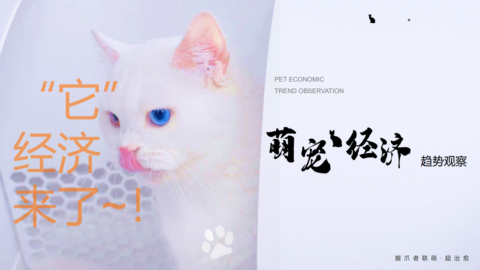DataStory吸貓擼狗送糧上門-萌寵經濟趨勢觀察12頁