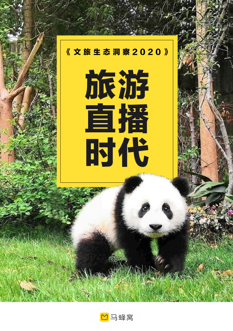 馬蜂窩-旅游直播時代——文旅生態洞察2020-2020.5-21頁