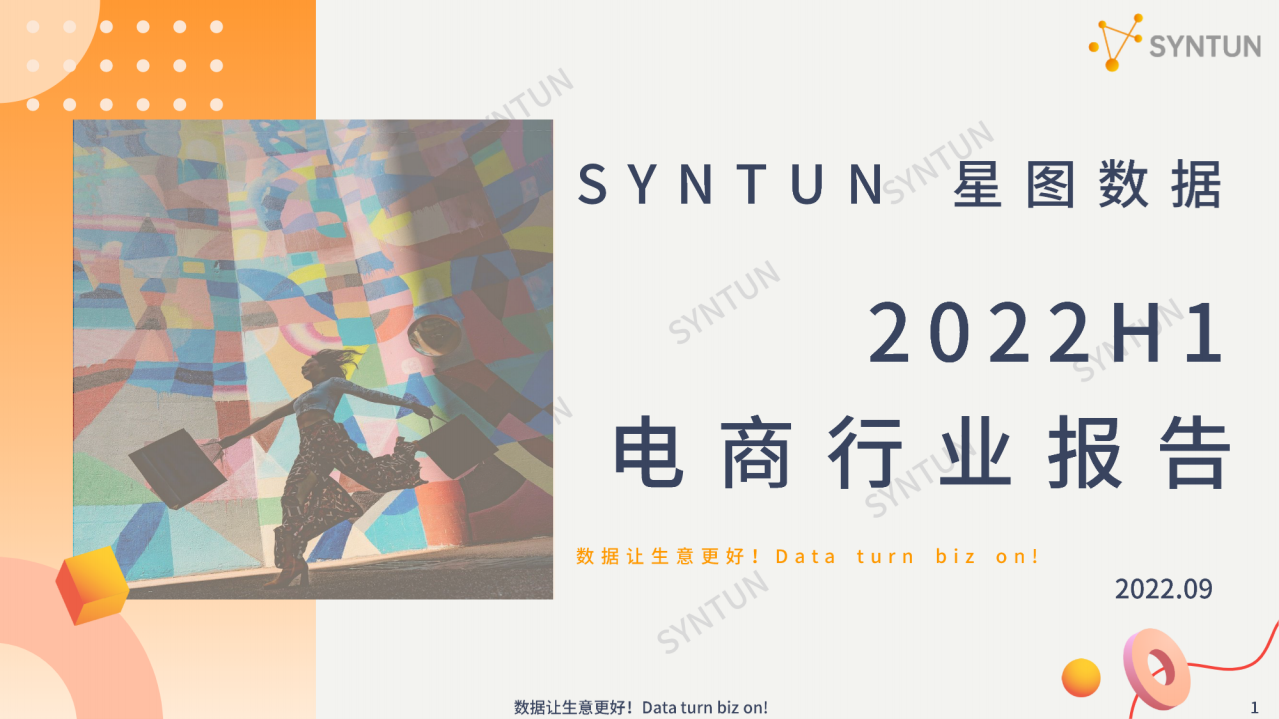 2022H1電商行業報告-星圖數據