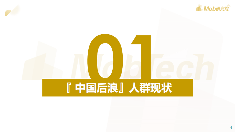 2020后浪生存图鉴-Mob研究院-202006 第4页