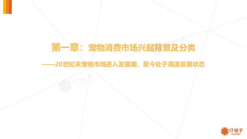 2020年中国宠物消费市场分析报告 第3页