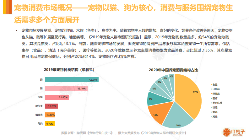 2020年中国宠物消费市场分析报告 第5页