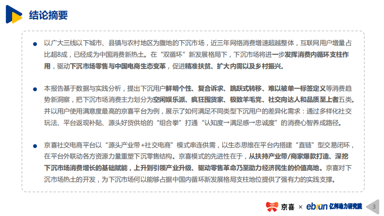 2020下沉市场新消费研究报告 第3页