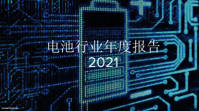 2021电池年度报告（中文版） 第1页