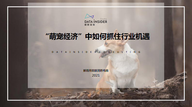 2021&ldquo;萌宠经济&rdquo;中如何抓住行业机遇-解数咨询 第1页
