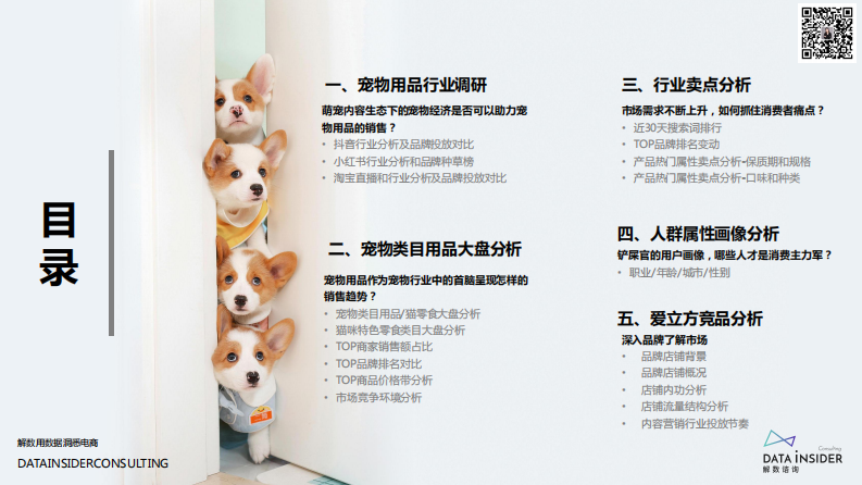 2021&ldquo;萌宠经济&rdquo;中如何抓住行业机遇-解数咨询 第2页