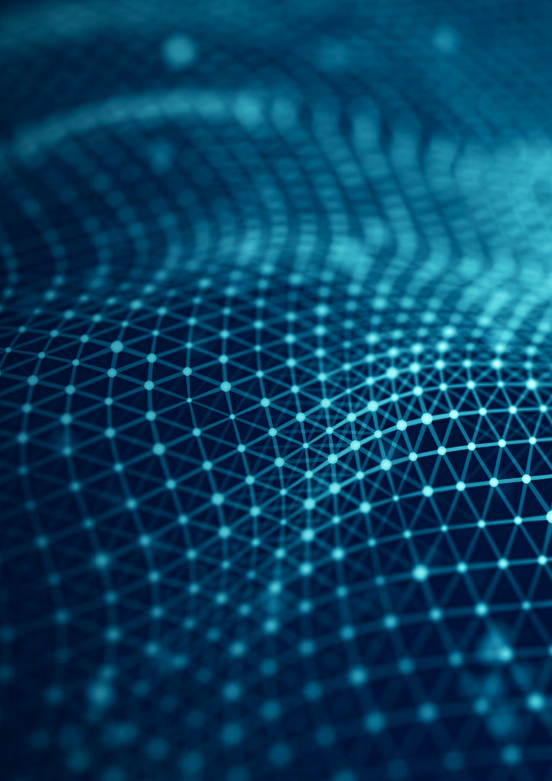 2020中国进口消费市场研究报告 第2页