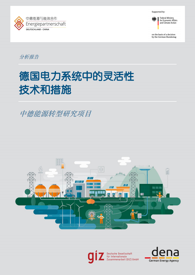 德国电力系统中的灵活性技术和措施 第1页