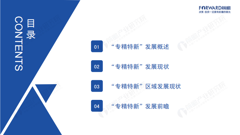 2021新时代培育新动能：&ldquo;专精特新&rdquo;发展蓝皮书-前瞻产业研究院 第2页