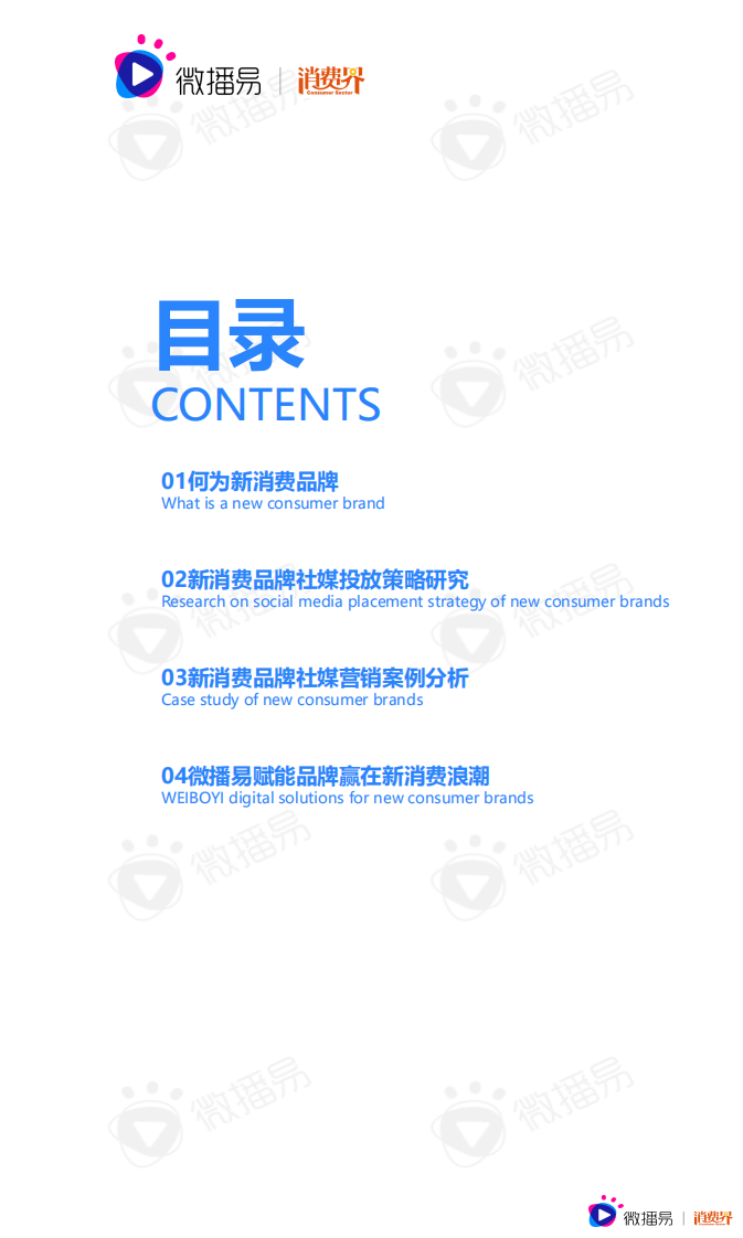 2021中国新消费品牌社媒营销研究报告-微播易-202103 第3页