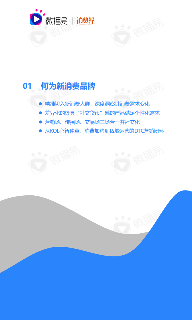 2021中国新消费品牌社媒营销研究报告-微播易-202103 第4页