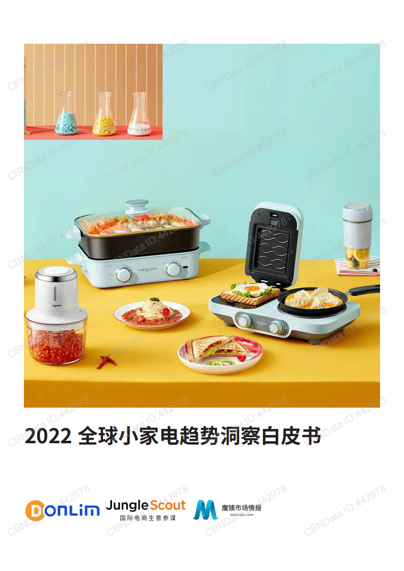 2022全球小家電趨勢洞察白皮書-新寶股份+魔鏡市場情報+JungleScout