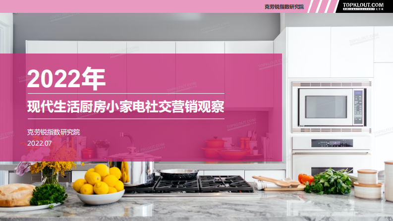 2022现代生活厨房小家电社交营销观察 第1页