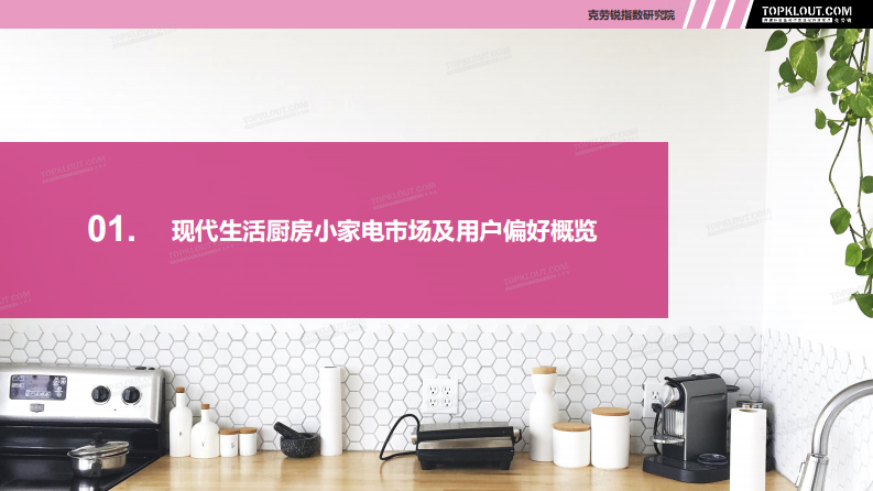 2022现代生活厨房小家电社交营销观察 第5页