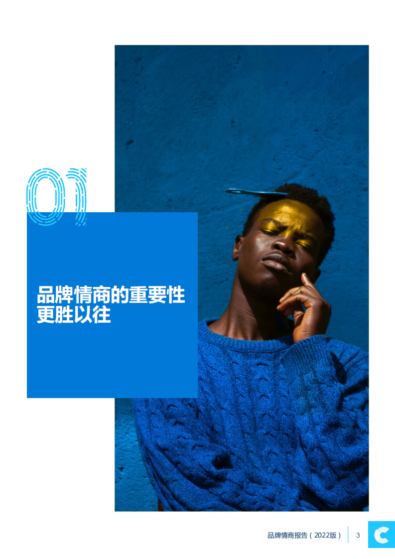 2022品牌情商报告-凯络 第3页