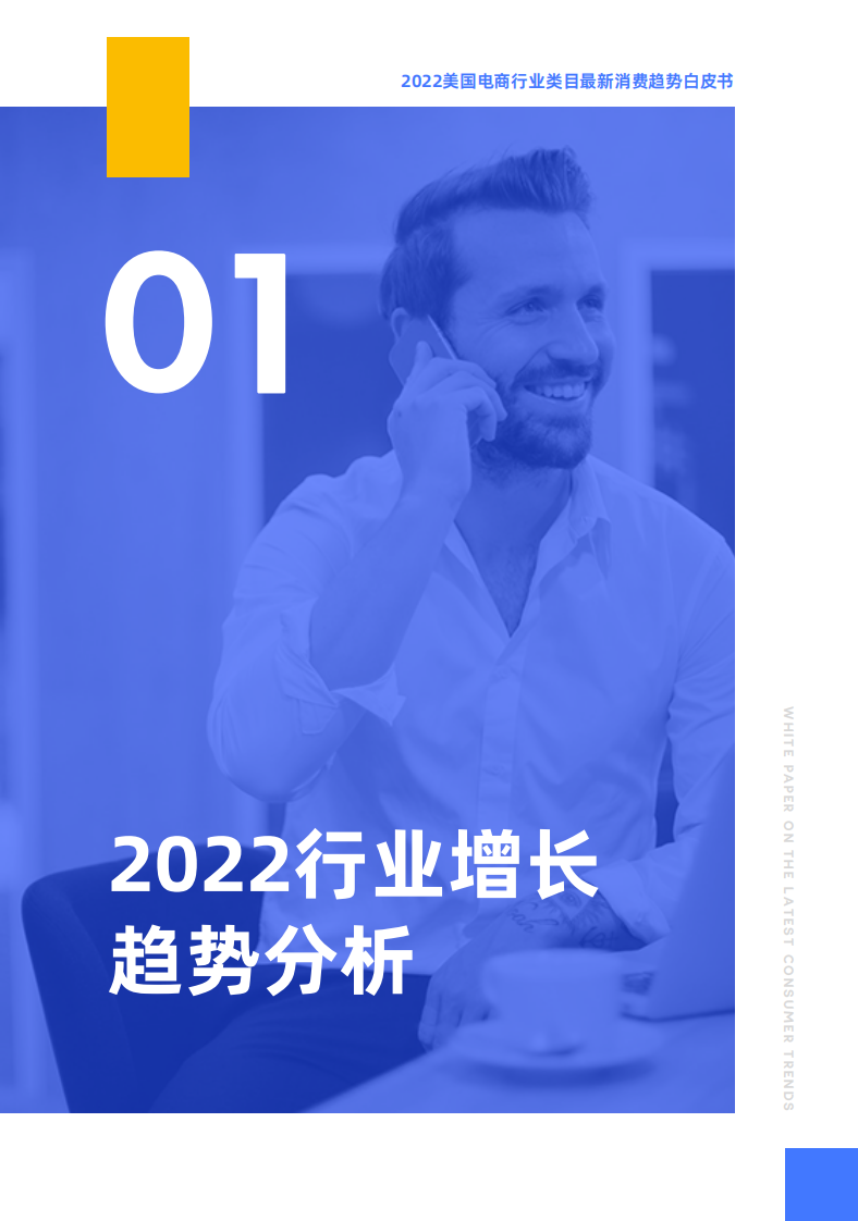 2022美国电商行业类目最近消费趋势白皮书 第3页