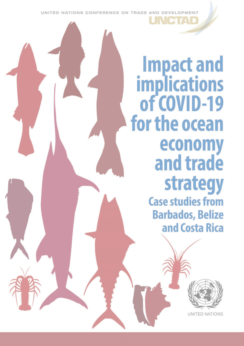 联合国贸易发展委员会新冠疫情对海洋经济和贸易战略的影响及启示（英）2021.12 第3页
