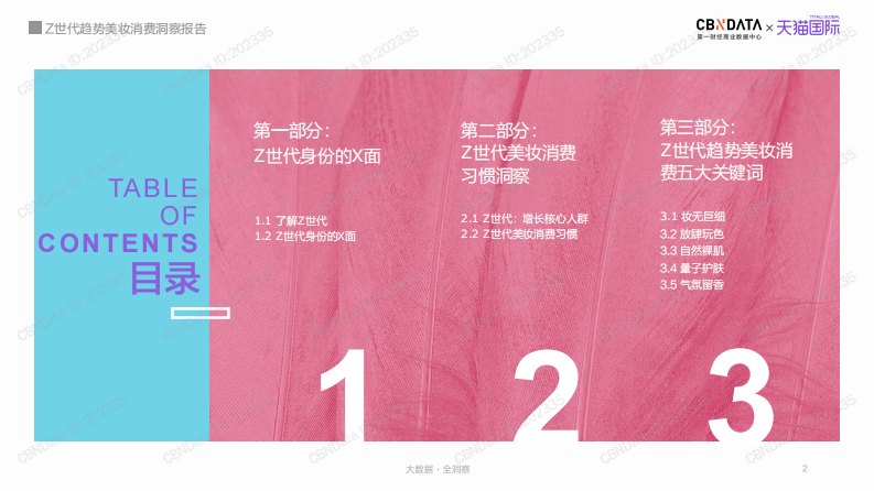 Z世代趋势美妆消费洞察报告 第2页