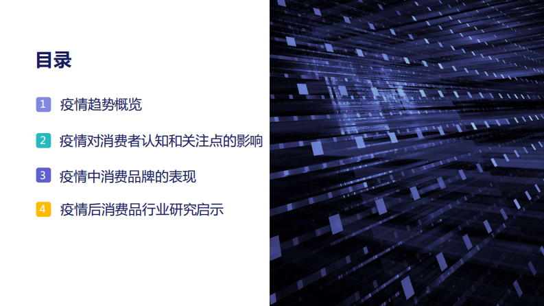 疫情后消费品行业研究报告白皮书-数说故事-202002 第4页