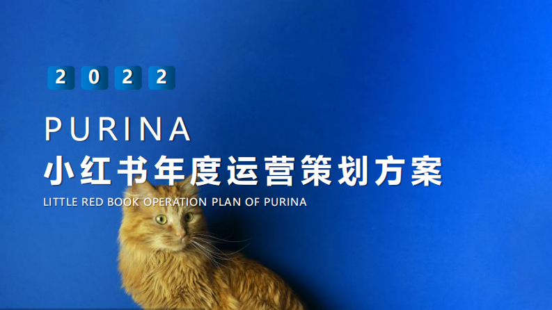 2022年度小紅書(shū)運(yùn)營(yíng)傳播規(guī)劃方案