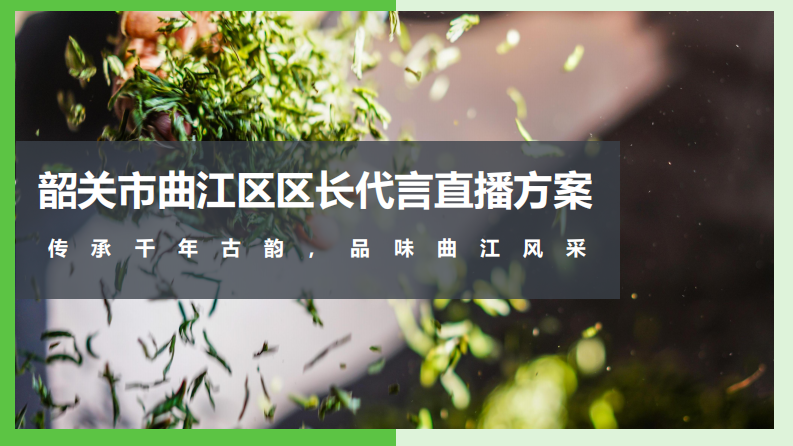 2020韶關區長代言直播活動策劃方案【直播策劃】