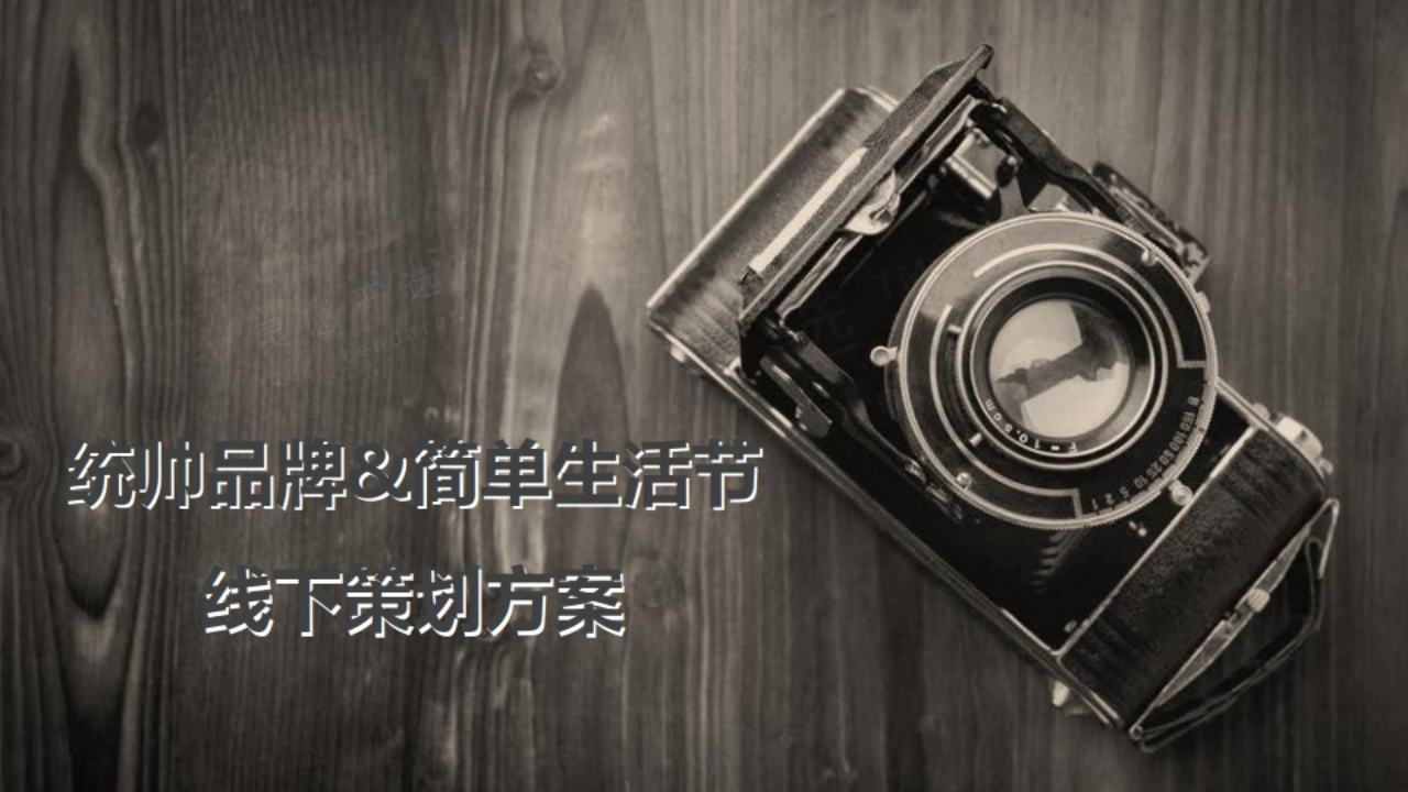 統(tǒng)帥品牌簡單生活節(jié)線下策劃方案【家電】【活動策劃】