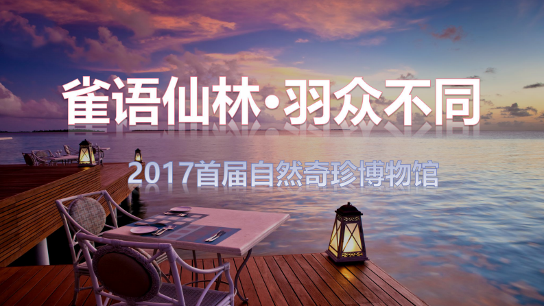 春季孔雀百鳥展策劃案【旅游】【活動策劃】