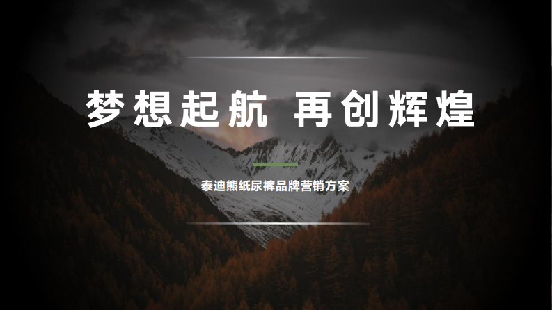 2020泰迪熊紙尿褲品牌營銷方案【母嬰】