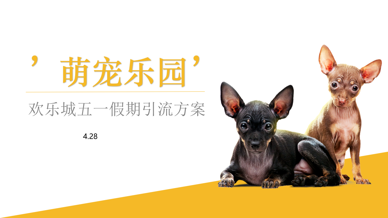 常德歡樂城五一假期萌寵引流方案