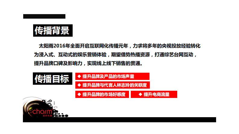 视频内容营销创新案例 第4页