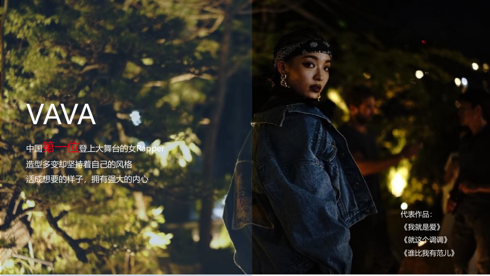 Maestro RL Campaign x VAVA 第3页