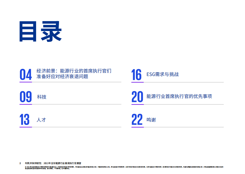 2022年全球能源行业首席执行官展望 第2页