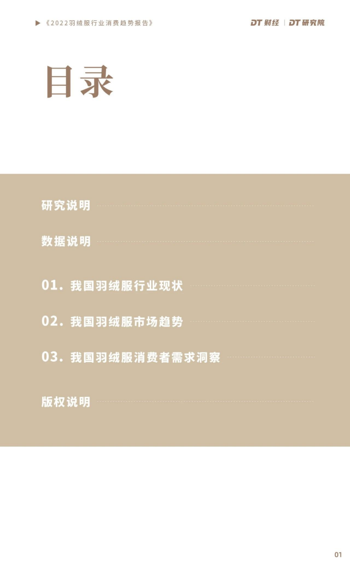 2022羽绒服行业消费趋势报告-DT财经x库润数据 第2页