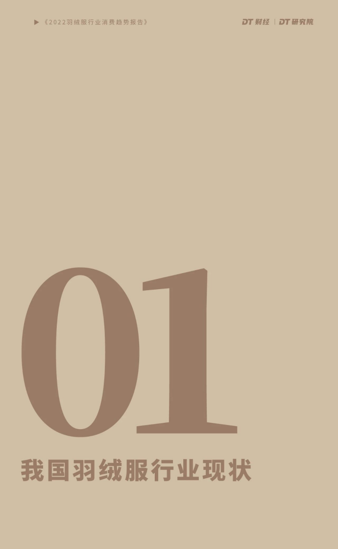 2022羽绒服行业消费趋势报告-DT财经x库润数据 第5页