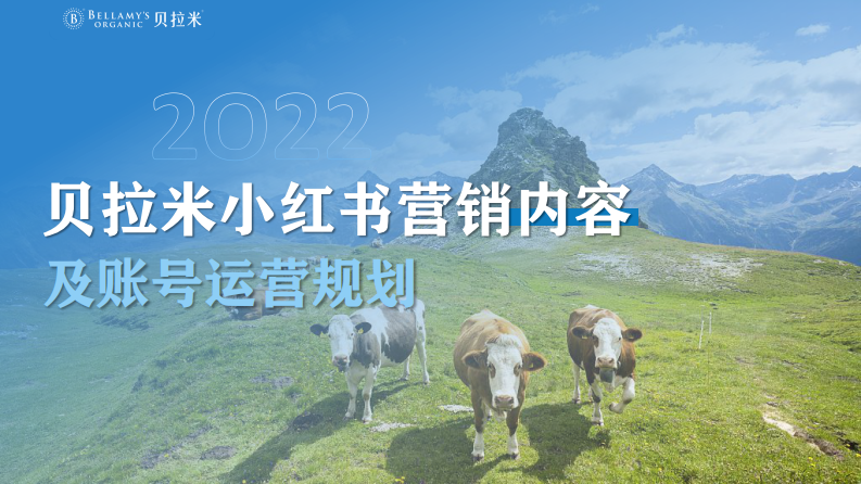 2022跨境奶粉品牌小紅書(shū)營(yíng)銷(xiāo)內(nèi)容年度規(guī)劃方案