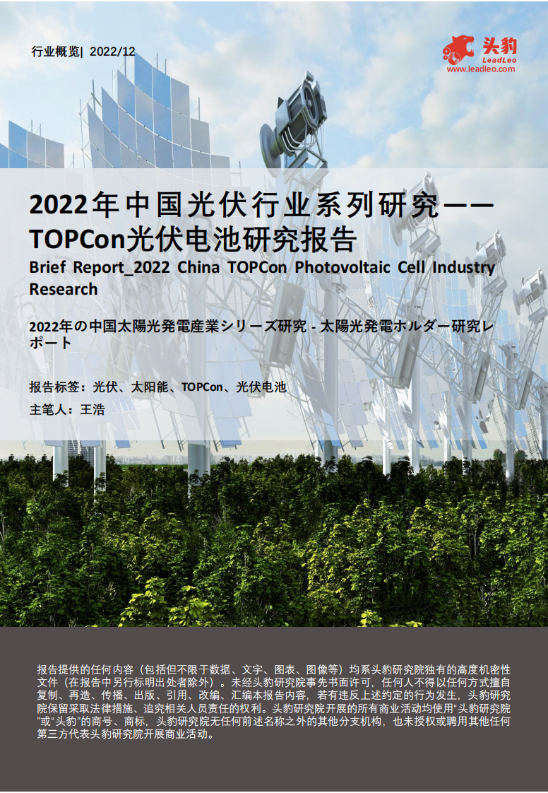 頭豹：2022年中國(guó)光伏行業(yè)系列研究-TOPCon光伏電池研究報(bào)告