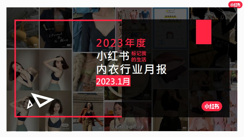 小紅書(shū)：小紅書(shū)內(nèi)衣行業(yè)月報(bào)2023年1月