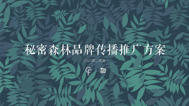 新消費內(nèi)衣品牌種草營銷案【內(nèi)衣】【種草帶貨】【小紅書 抖音 淘寶 B站】