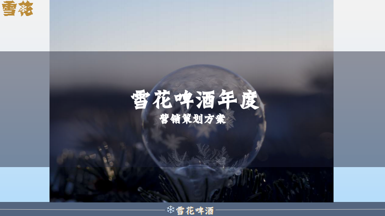 雪花啤酒年度營銷策劃方案