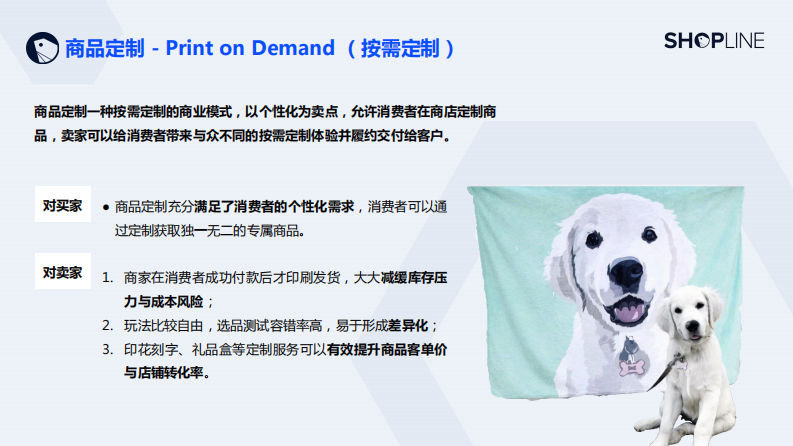 SHOPLINE：2023上半年商品定制热点-家居&户外篇 第4页