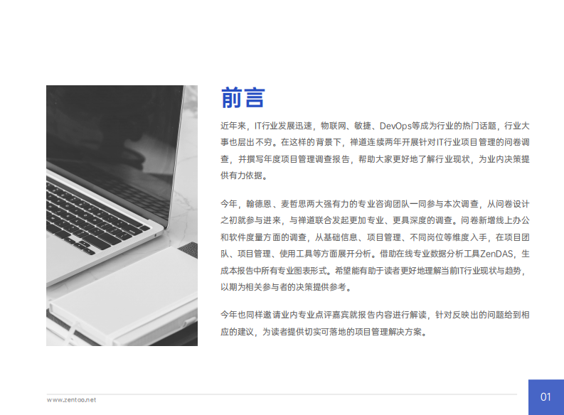 禅道：2022年IT行业项目管理调查报告 第2页