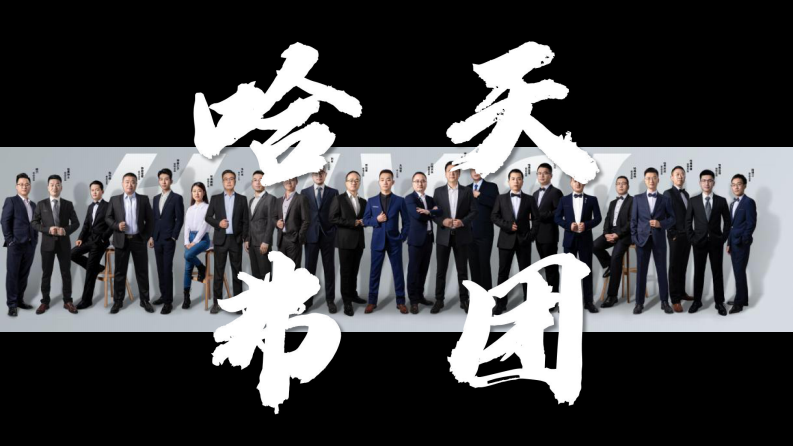 汽车品牌全案策略及营销推广方案【汽车】【国产汽车】【品牌全案】 第5页