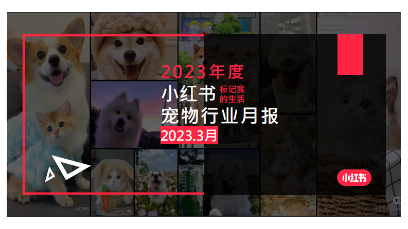 小紅書：2023年3月小紅書寵物行業(yè)月報(bào)