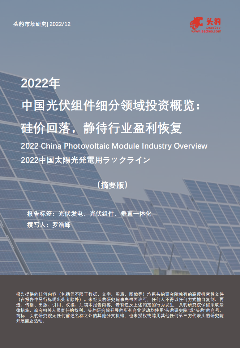頭豹：2022年中國(guó)光伏組件細(xì)分領(lǐng)域投資概覽-硅價(jià)回落-靜待行業(yè)盈利恢復(fù)（摘要版）