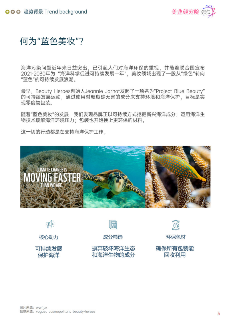 美业研究院：蓝色美妆：下一个可持续发展分支 第3页